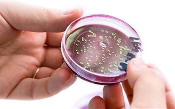 Bakterya sa pagtago sa prostate